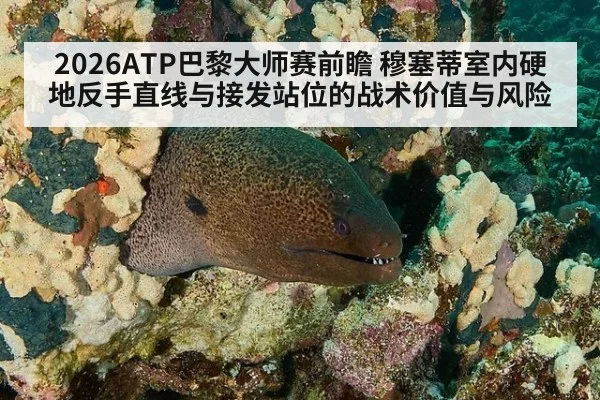 2026ATP巴黎大师赛前瞻 穆塞蒂室内硬地反手直线与接发站位的战术价值与风险 | ayx